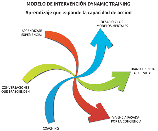 metodologia-dynamic-training